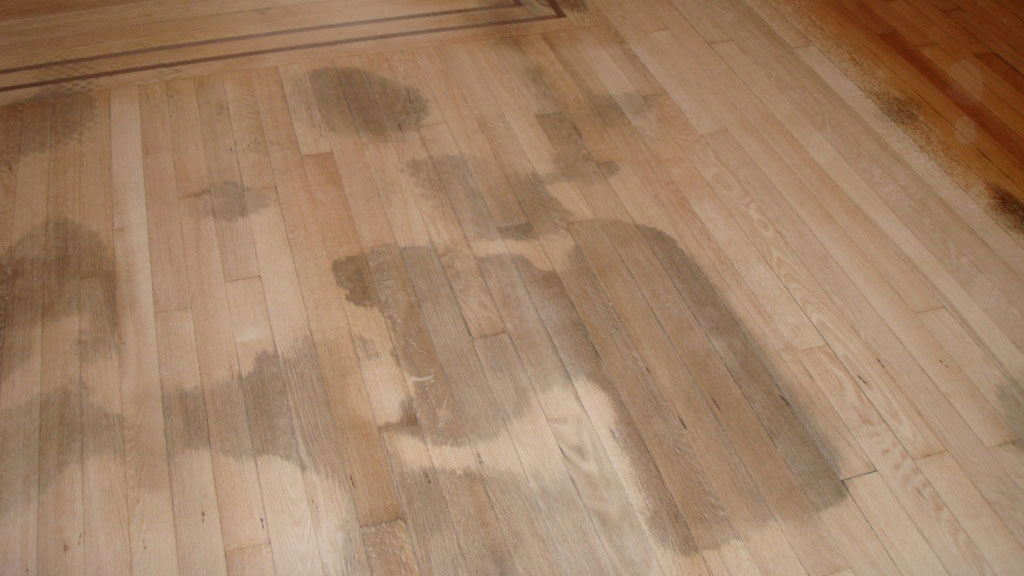 Solid Engineered Wood Floor, Black Spots On Hardwood Floor