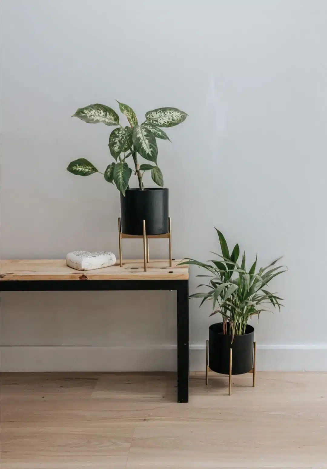 Finfloor Aurora II - Celeste 1