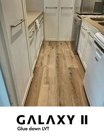 Finfloor Galaxy II Glue down Vinyl Floor