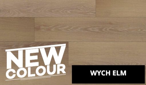 Wych elm