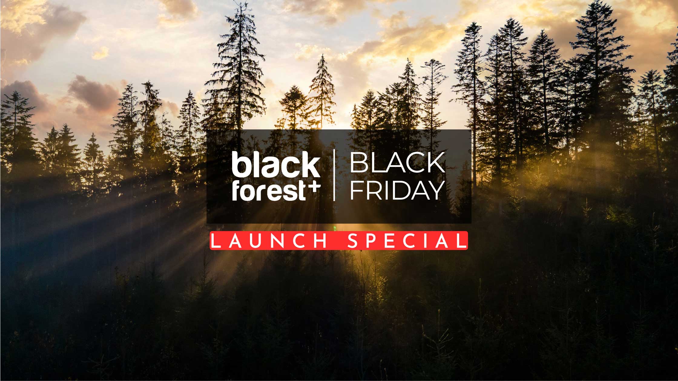 Black forest plus black friday launch specials