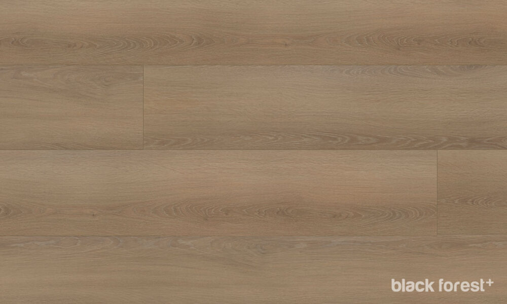 Black-Forest-Plus-Wych-Elm