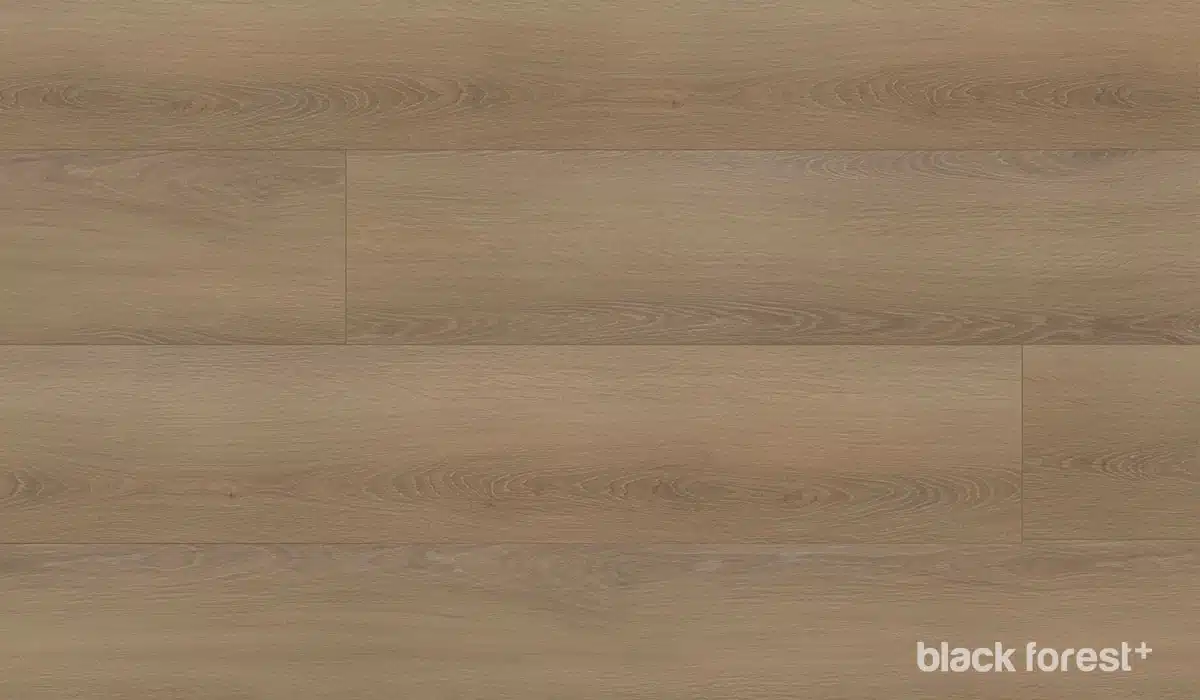 Black-Forest-Plus-Wych-Elm