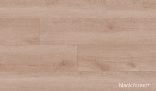 Sun Kissed Oak