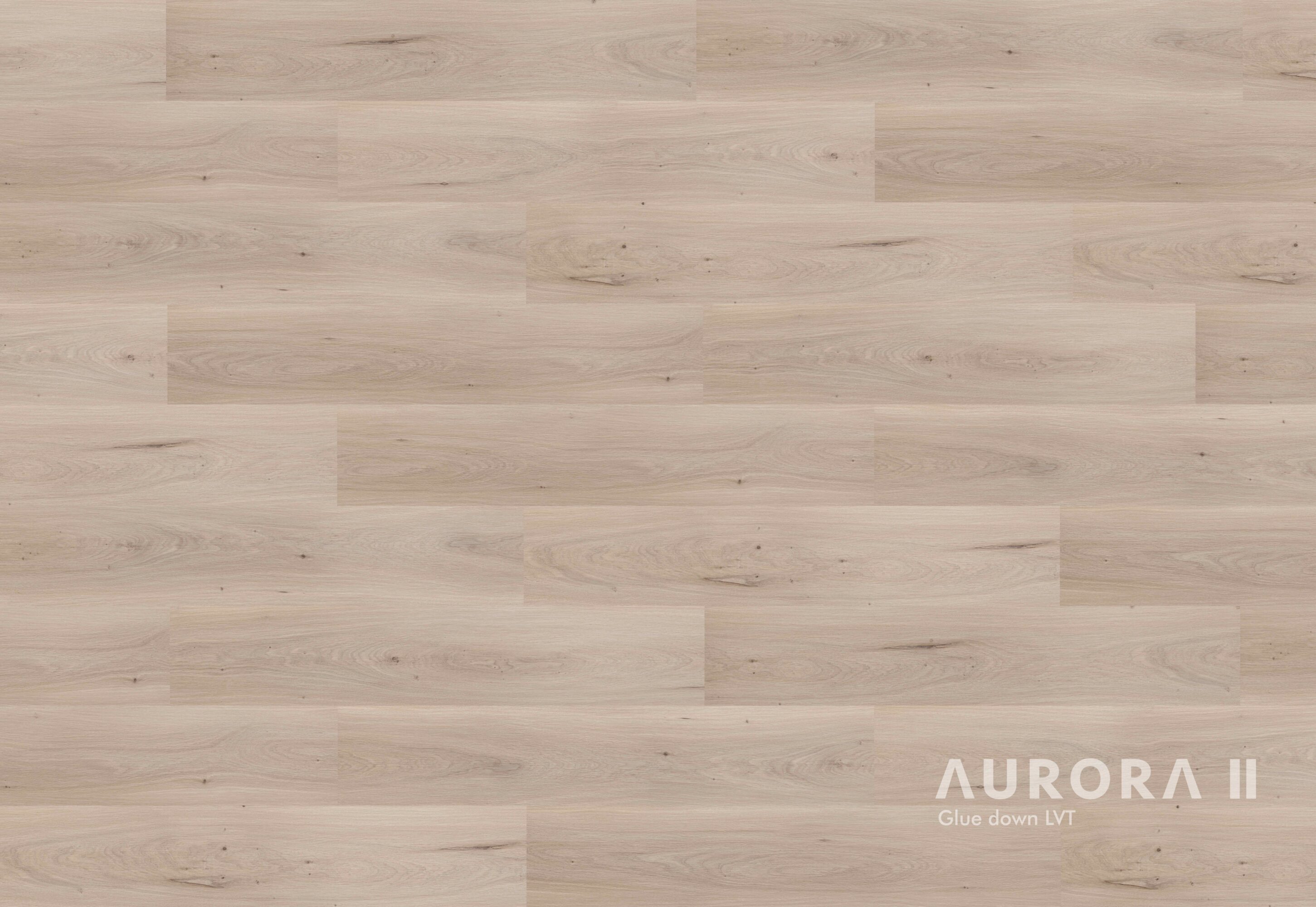 AURORA II Celeste Glue Down Vinyl | FINFloor | Wholesale