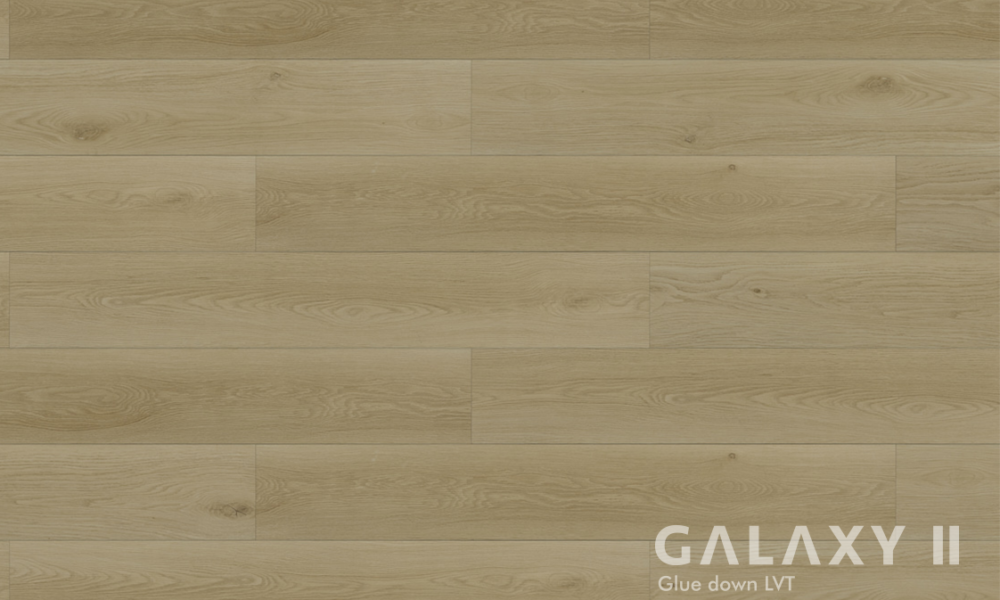 Galaxy II-Zephyra-LVT _ glue down vinyl
