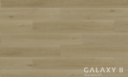 Galaxy II-Zephyra-LVT _ glue down vinyl